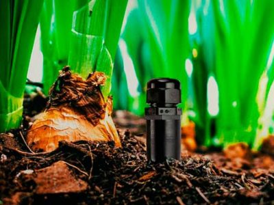 Bioo sensor utilizará electricidad a partir de la tierra y fotosíntesis de las plantas